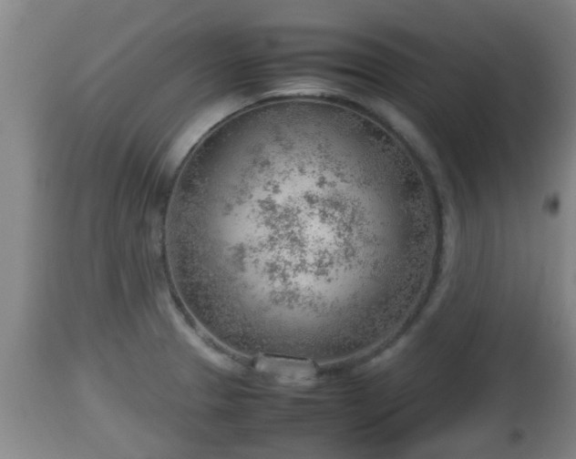 X0000112811329200908281458