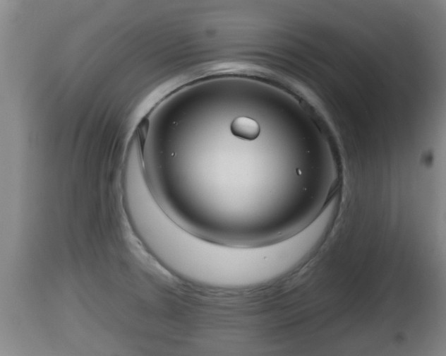 X0000112811330200908281458