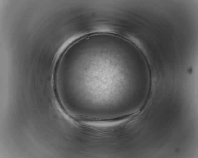 X0000112811331200908281458