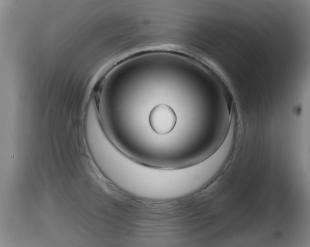 X0000112811332200908281458