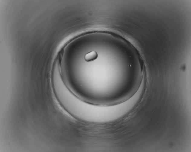 X0000112811334200908281458