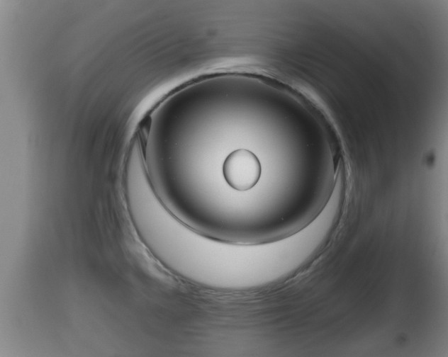 X0000112811336200908281458