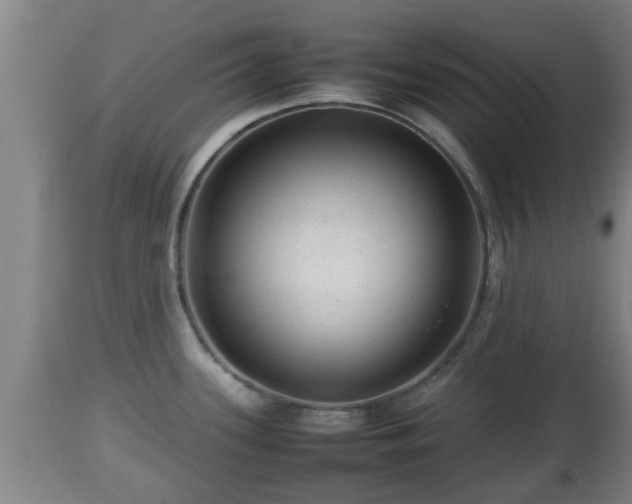 X0000112811339200908281458