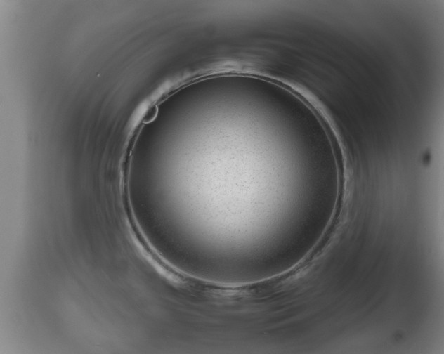 X0000112811341200908281458