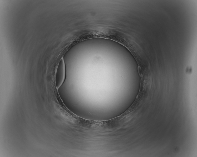 X0000112811345200908281457
