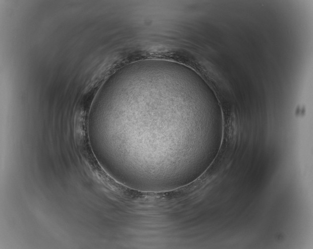 X0000112811346200908281457