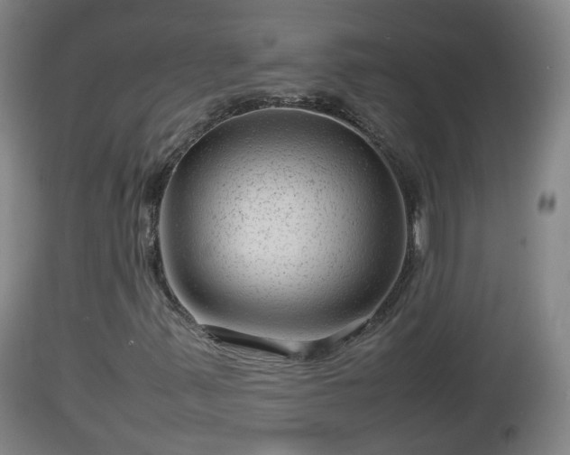 X0000112811347200908281457