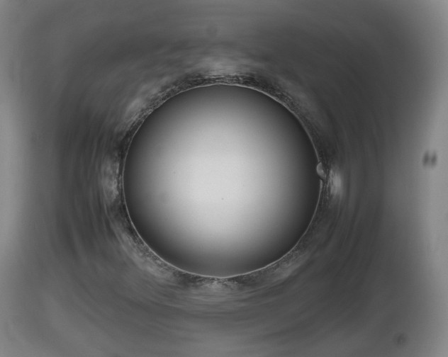 X0000112811348200908281457
