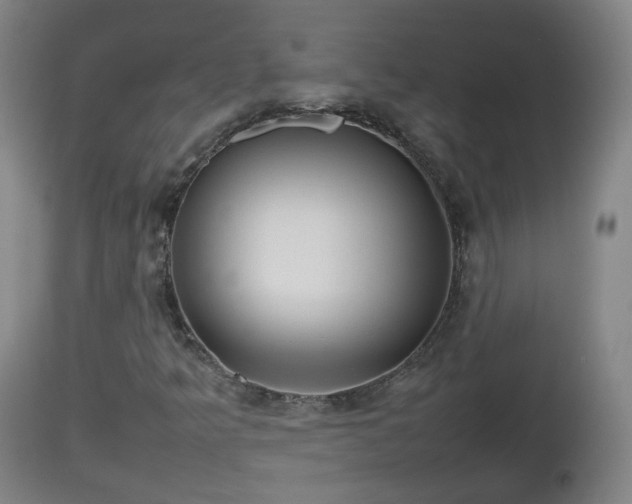 X0000112811349200908281457