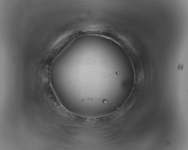 X0000112811350200908281457