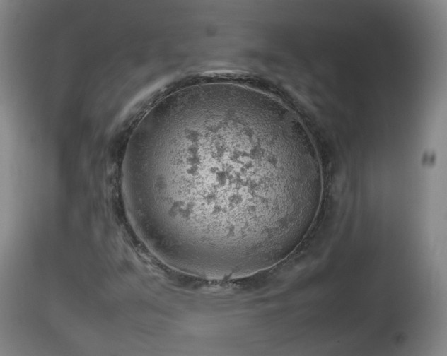 X0000112811351200908281457