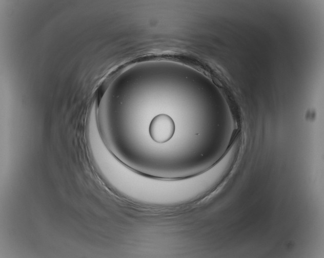 X0000112811353200908281457