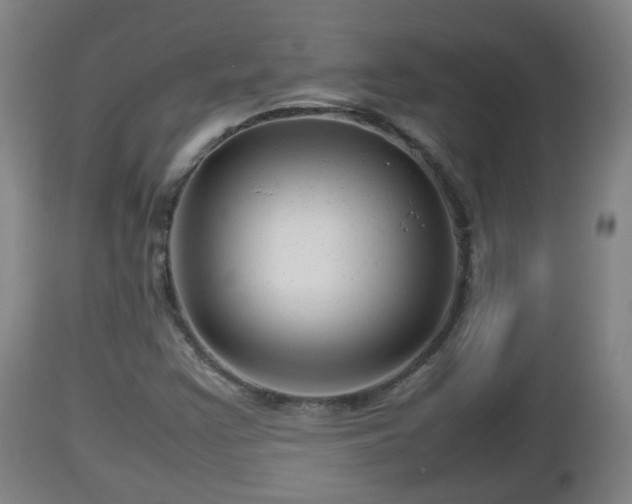 X0000112811355200908281457