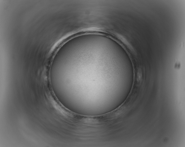 X0000112811356200908281457