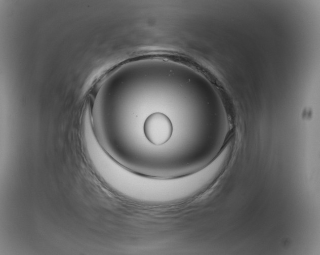 X0000112811357200908281457