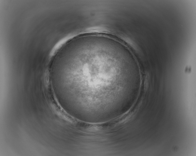 X0000112811358200908281457
