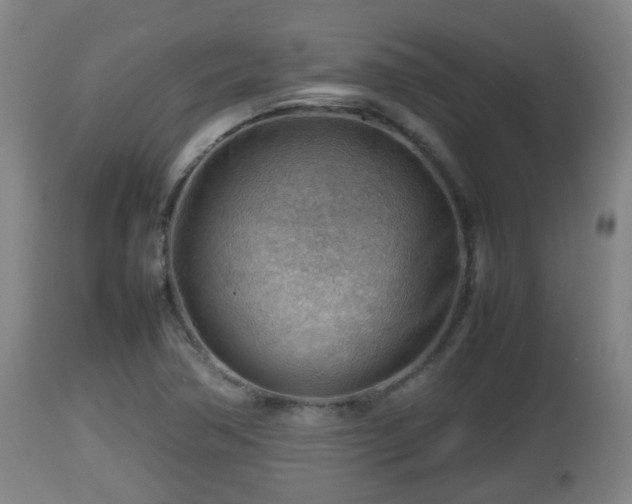 X0000112811362200908281457