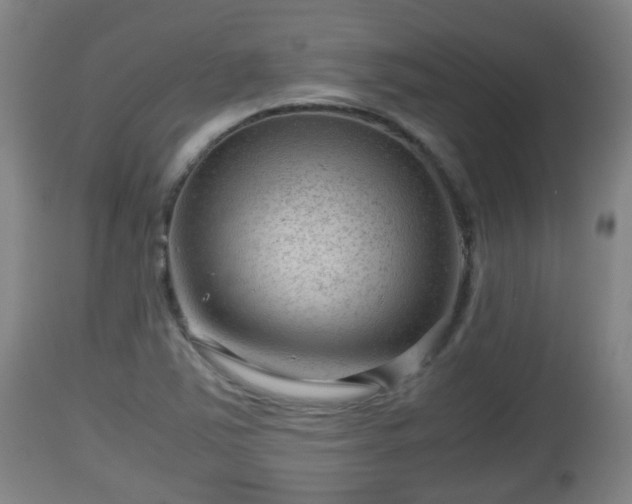 X0000112811363200908281457