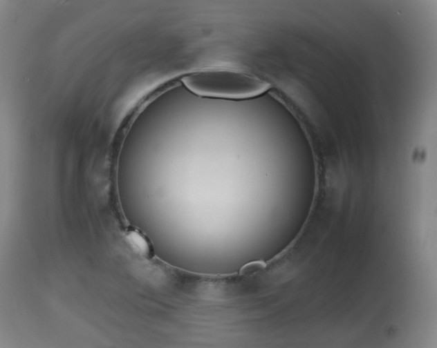 X0000112811364200908281457