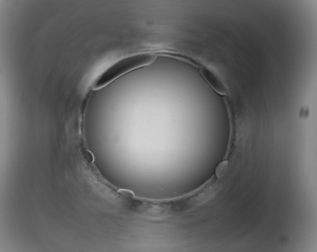X0000112811365200908281457