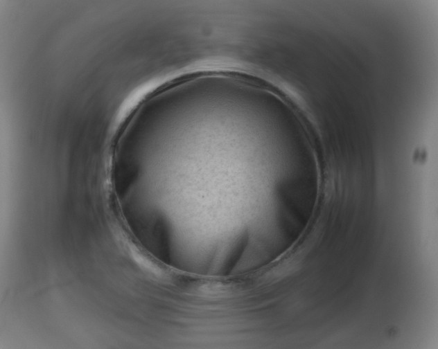 X0000112811366200908281457
