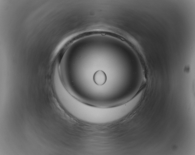 X0000112811368200908281457