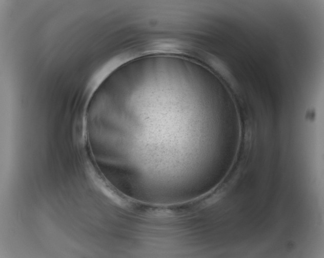 X0000112811370200908281457