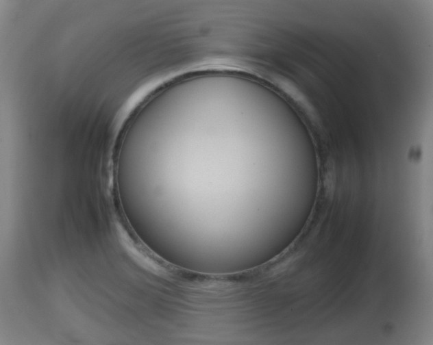 X0000112811372200908281457