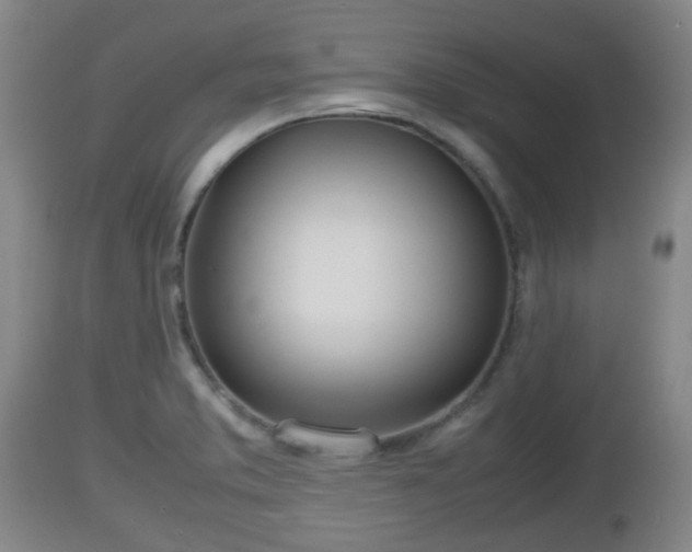 X0000112811373200908281457