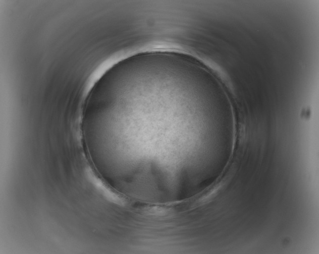 X0000112811374200908281457