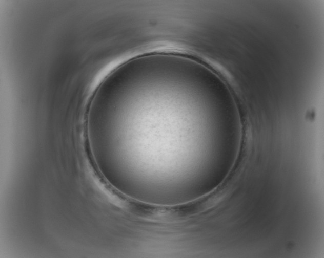 X0000112811375200908281457