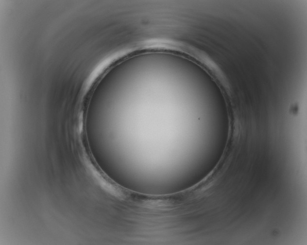 X0000112811376200908281457