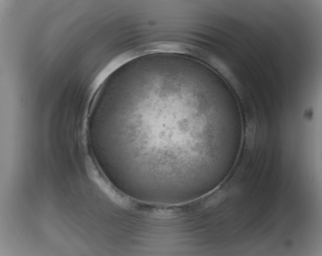 X0000112811378200908281457