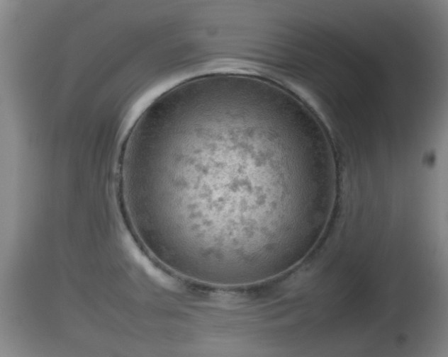 X0000112811379200908281457