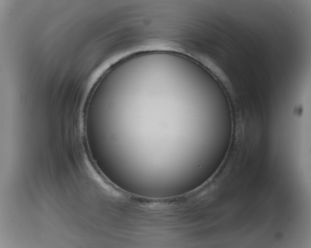 X0000112811380200908281457