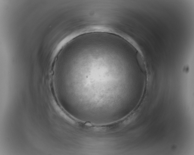 X0000112811381200908281457