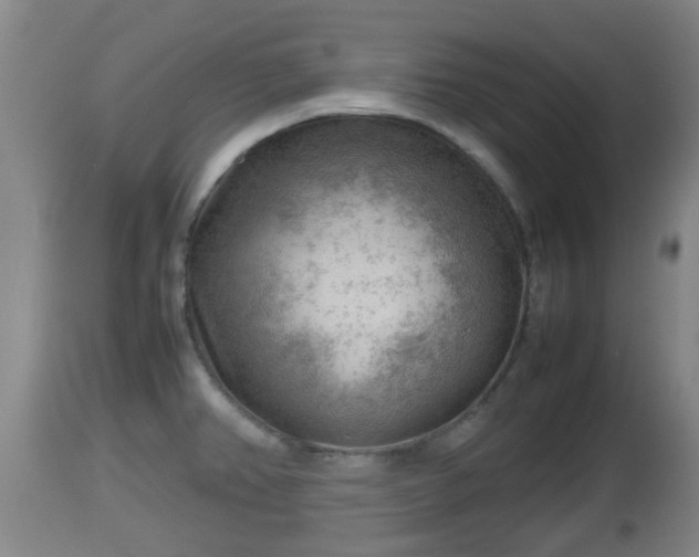 X0000112811382200908281457