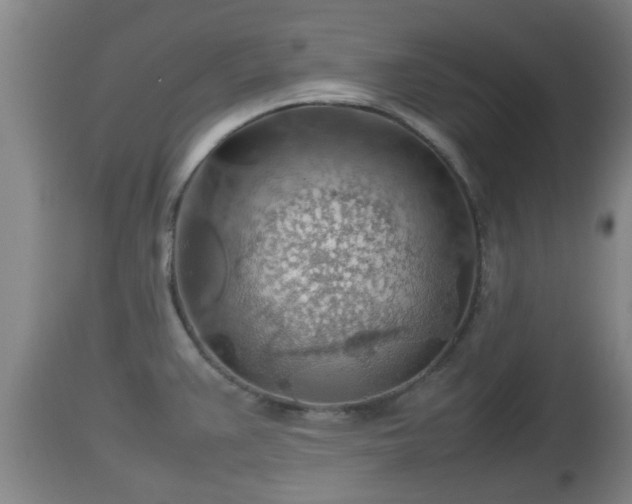 X0000112811383200908281457