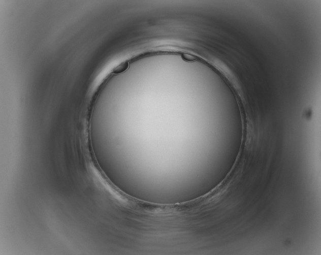 X0000112811384200908281457