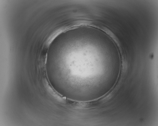 X0000112811385200908281457