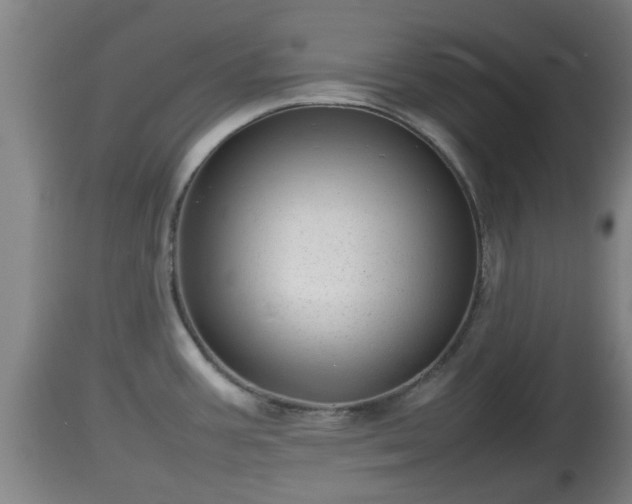 X0000112811387200908281456
