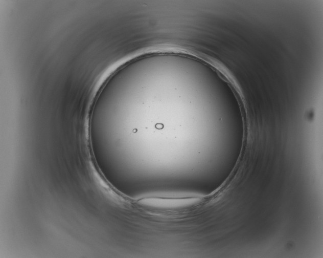 X0000112811388200908281456
