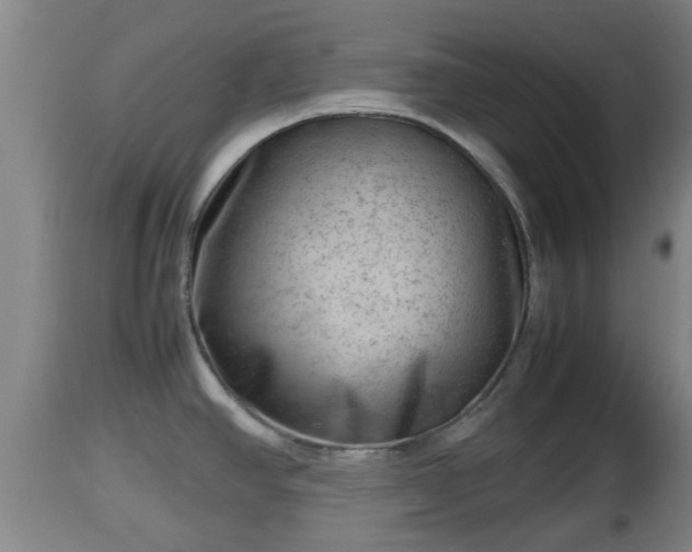 X0000112811390200908281456