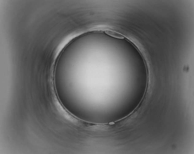 X0000112811392200908281456