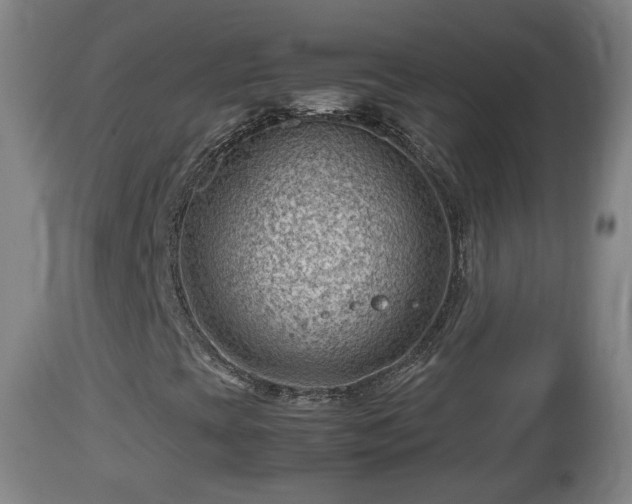 X0000112811393200908281456