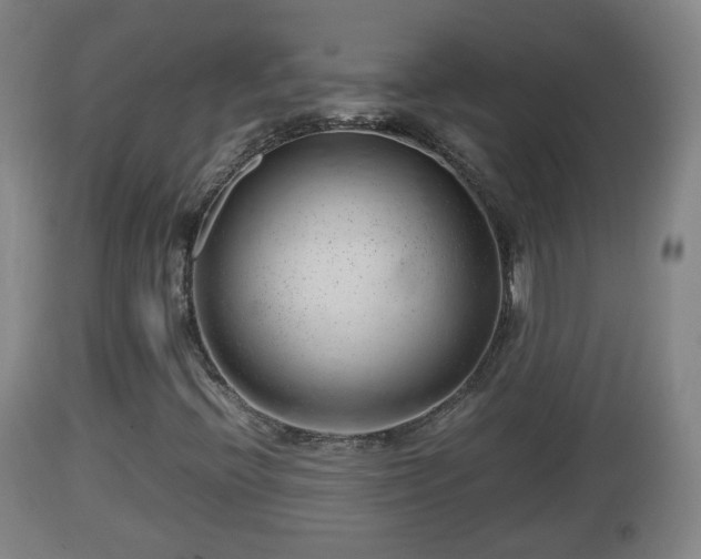 X0000112811396200908281456