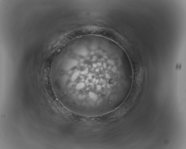 X0000112811397200908281456