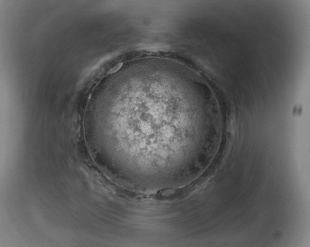 X0000112811398200908281456