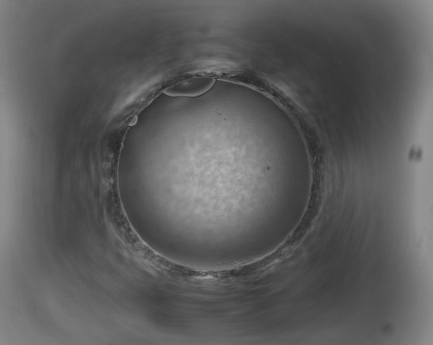 X0000112811399200908281456