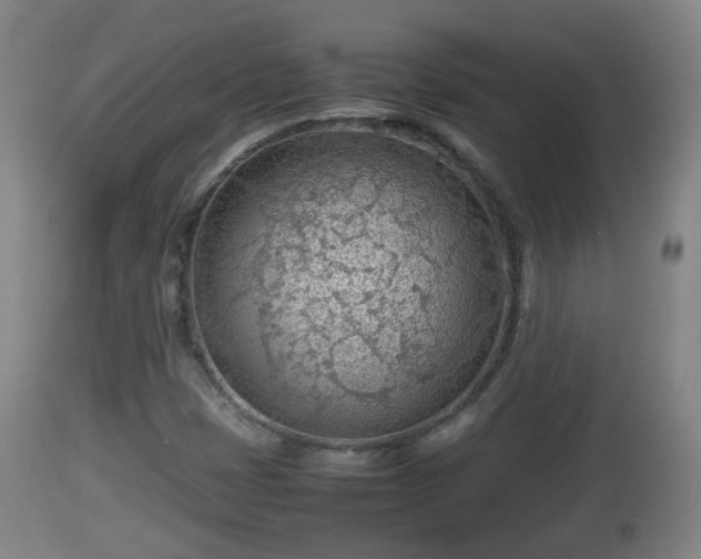 X0000112811401200908281456